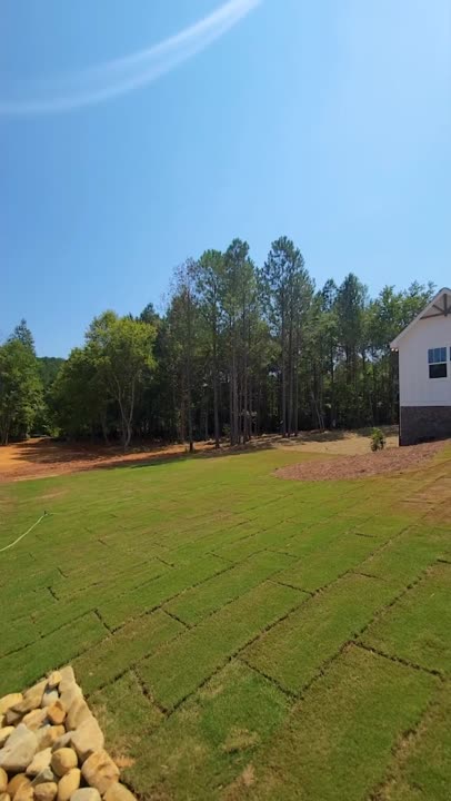 Fresh sod on a newly finished home site with tall pines behind